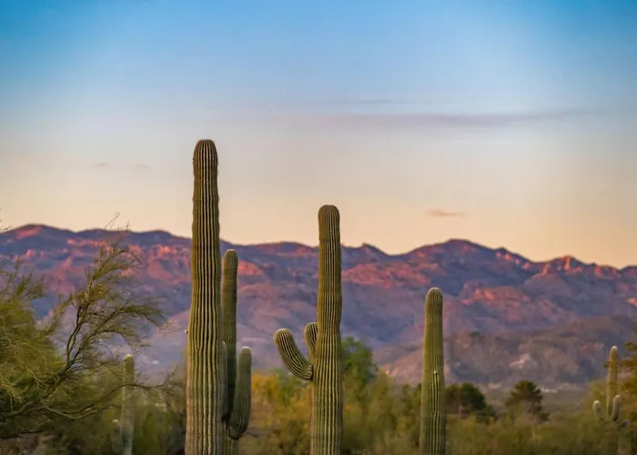 Private Luxury Gem W/ Pool & Near Mt. Lemmon!